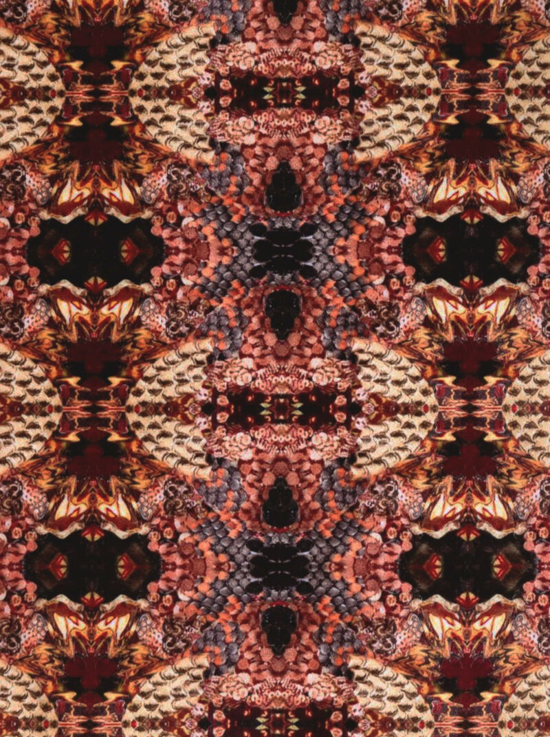 Anaconda Velvet Fabric - Image 3